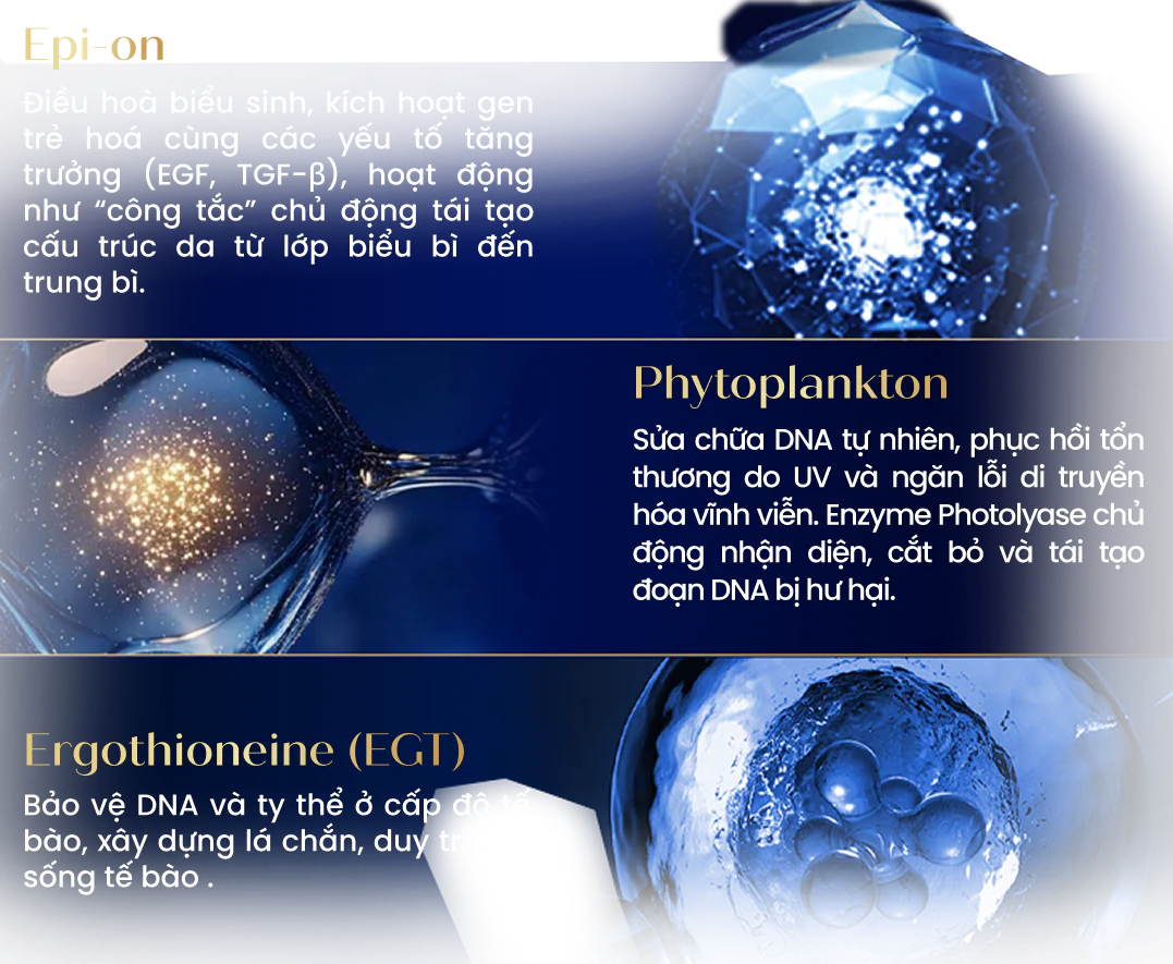 DNA Epigen™ Technology